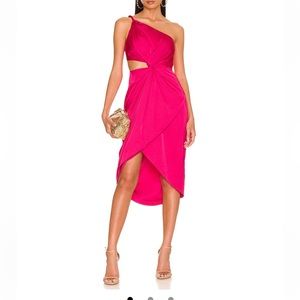 Amur midi dress. Only worn twice from revolve. Mild stain.